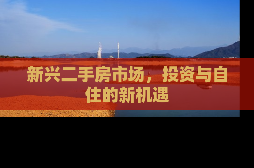 新兴二手房市场，投资与自住的新机遇