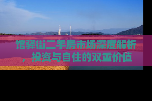 馆驿街二手房市场深度解析，投资与自住的双重价值