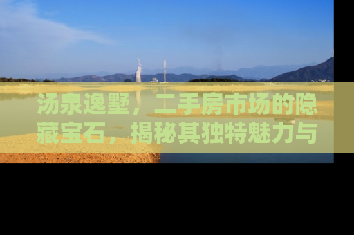 汤泉逸墅，二手房市场的隐藏宝石，揭秘其独特魅力与投资价值