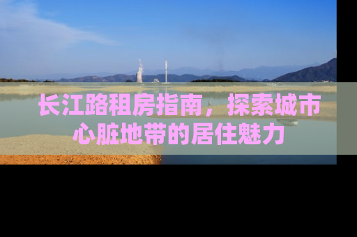 长江路租房指南，探索城市心脏地带的居住魅力