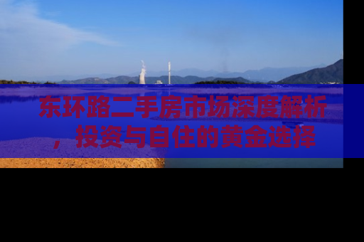 东环路二手房市场深度解析，投资与自住的黄金选择