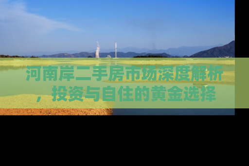 河南岸二手房市场深度解析，投资与自住的黄金选择