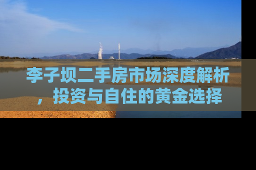 李子坝二手房市场深度解析，投资与自住的黄金选择