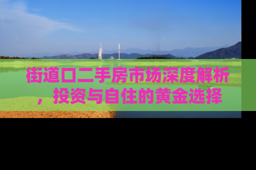 街道口二手房市场深度解析，投资与自住的黄金选择