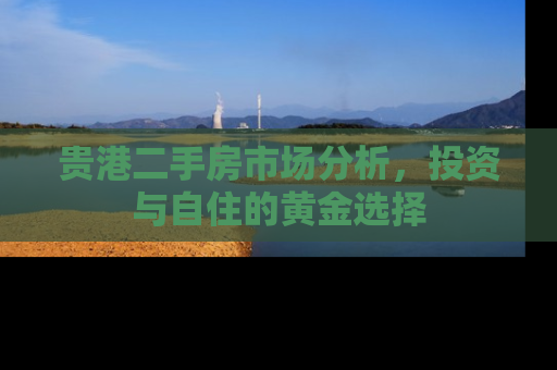 贵港二手房市场分析，投资与自住的黄金选择