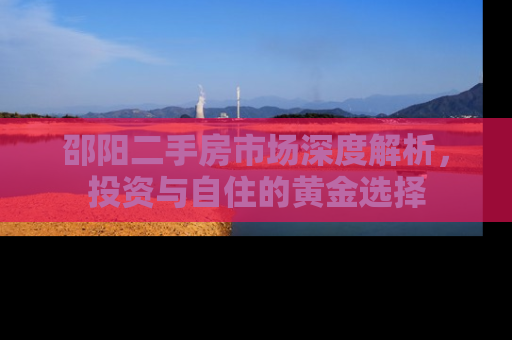 邵阳二手房市场深度解析，投资与自住的黄金选择