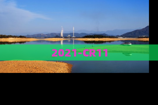 2021-CR11