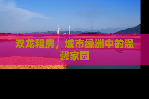 双龙租房，城市绿洲中的温馨家园