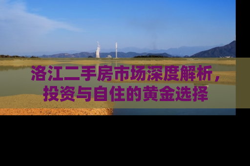 洛江二手房市场深度解析，投资与自住的黄金选择