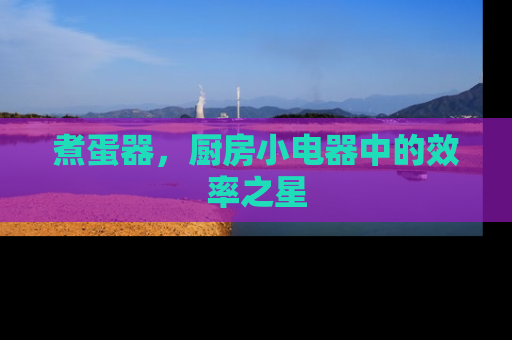 煮蛋器，厨房小电器中的效率之星