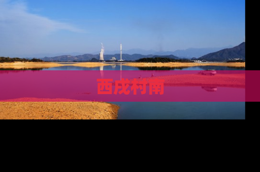 西戌村南