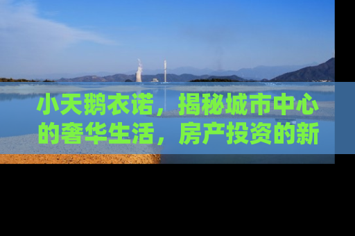 小天鹅衣诺，揭秘城市中心的奢华生活，房产投资的新宠儿