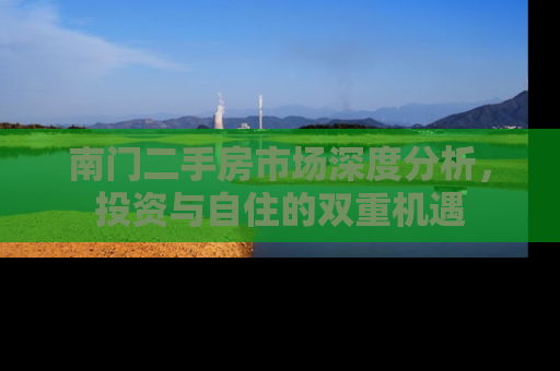 南门二手房市场深度分析，投资与自住的双重机遇
