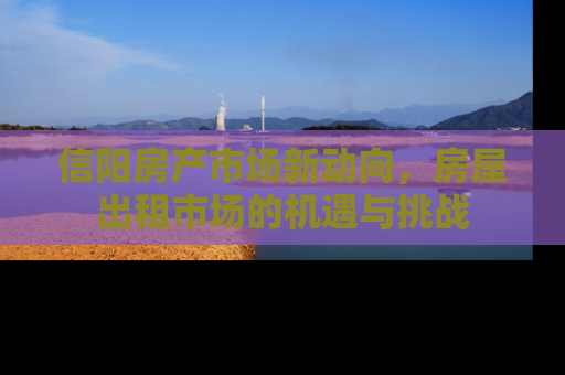 信阳房产市场新动向，房屋出租市场的机遇与挑战