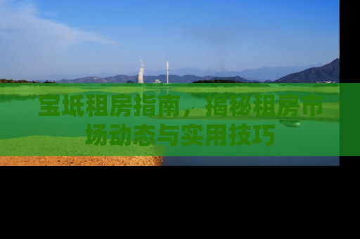 宝坻租房指南，揭秘租房市场动态与实用技巧