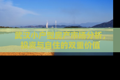 武汉小户型房产市场分析，投资与自住的双重价值