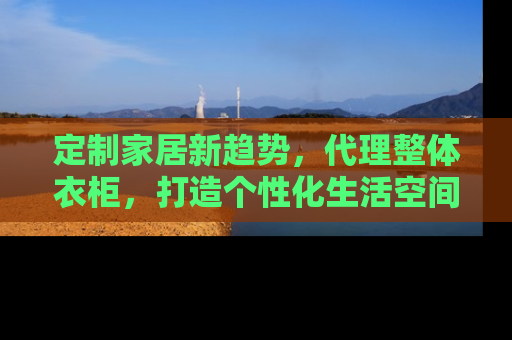 定制家居新趋势，代理整体衣柜，打造个性化生活空间
