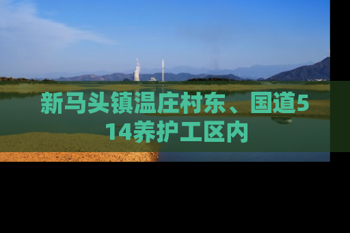 新马头镇温庄村东、国道514养护工区内