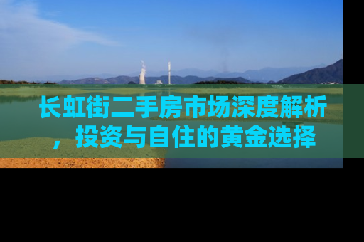 长虹街二手房市场深度解析，投资与自住的黄金选择
