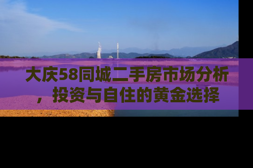 大庆58同城二手房市场分析，投资与自住的黄金选择