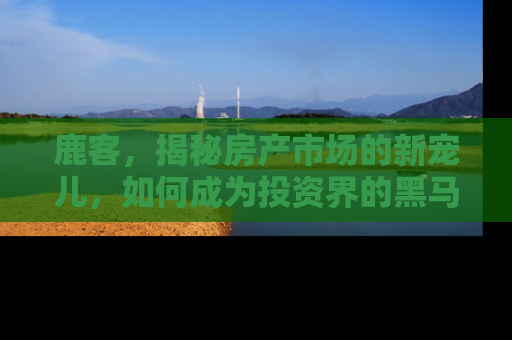 鹿客，揭秘房产市场的新宠儿，如何成为投资界的黑马
