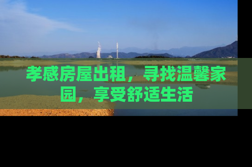 孝感房屋出租，寻找温馨家园，享受舒适生活
