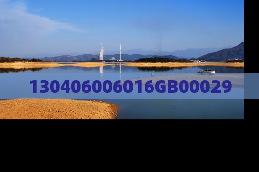 130406006016GB00029