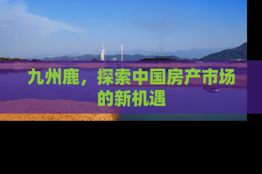 九州鹿，探索中国房产市场的新机遇