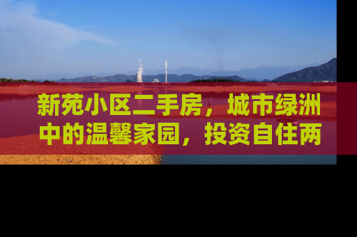 新苑小区二手房，城市绿洲中的温馨家园，投资自住两相宜