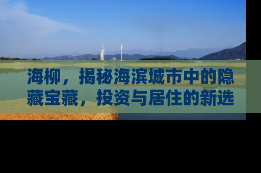 海柳，揭秘海滨城市中的隐藏宝藏，投资与居住的新选择