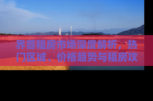 界首租房市场深度解析，热门区域、价格趋势与租房攻略