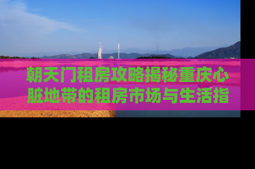 朝天门租房攻略揭秘重庆心脏地带的租房市场与生活指南