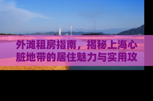 外滩租房指南，揭秘上海心脏地带的居住魅力与实用攻略
