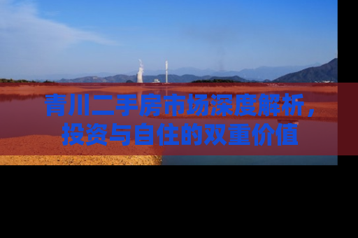 青川二手房市场深度解析，投资与自住的双重价值