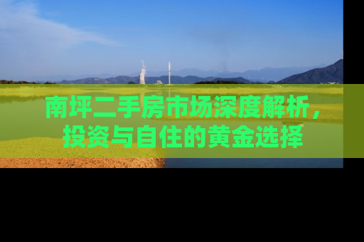 南坪二手房市场深度解析，投资与自住的黄金选择