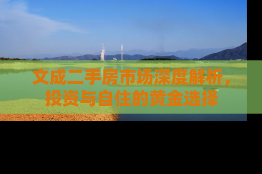 文成二手房市场深度解析，投资与自住的黄金选择