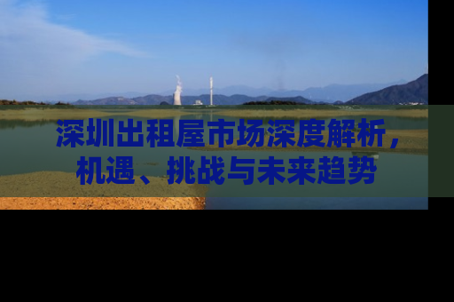 深圳出租屋市场深度解析，机遇、挑战与未来趋势