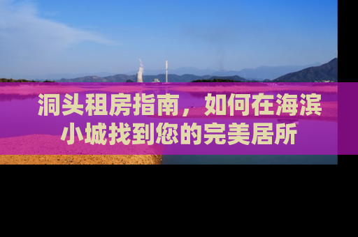 洞头租房指南，如何在海滨小城找到您的完美居所