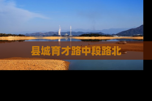 县城育才路中段路北