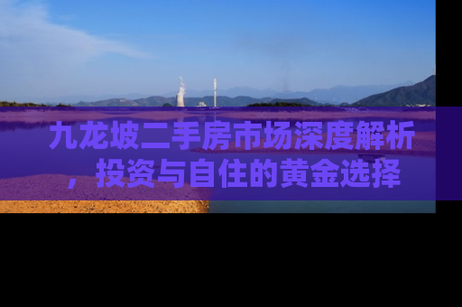 九龙坡二手房市场深度解析，投资与自住的黄金选择