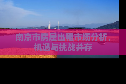 南京市房屋出租市场分析，机遇与挑战并存