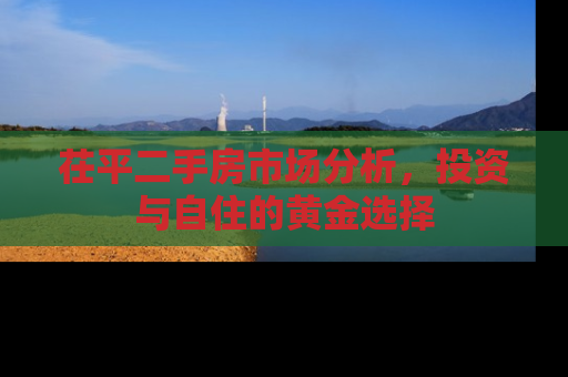 茌平二手房市场分析，投资与自住的黄金选择