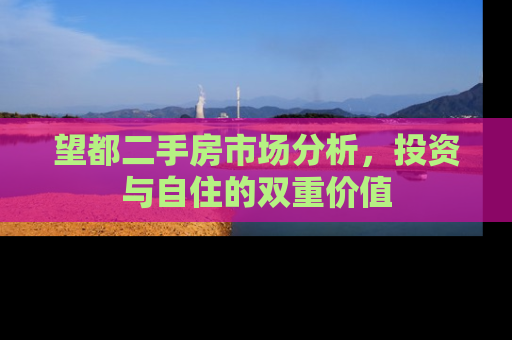 望都二手房市场分析，投资与自住的双重价值