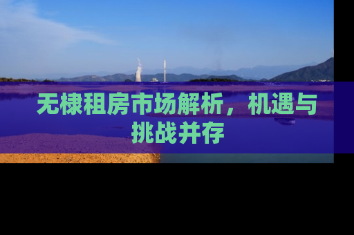 无棣租房市场解析，机遇与挑战并存
