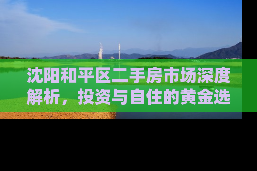 沈阳和平区二手房市场深度解析，投资与自住的黄金选择