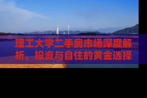 理工大学二手房市场深度解析，投资与自住的黄金选择