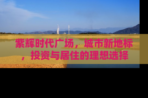 紫辉时代广场，城市新地标，投资与居住的理想选择