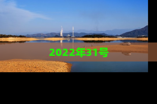 2022年31号