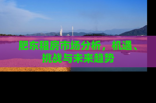 肥东租房市场分析，机遇、挑战与未来趋势