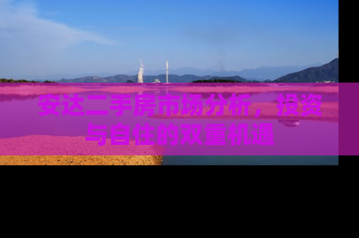 安达二手房市场分析，投资与自住的双重机遇